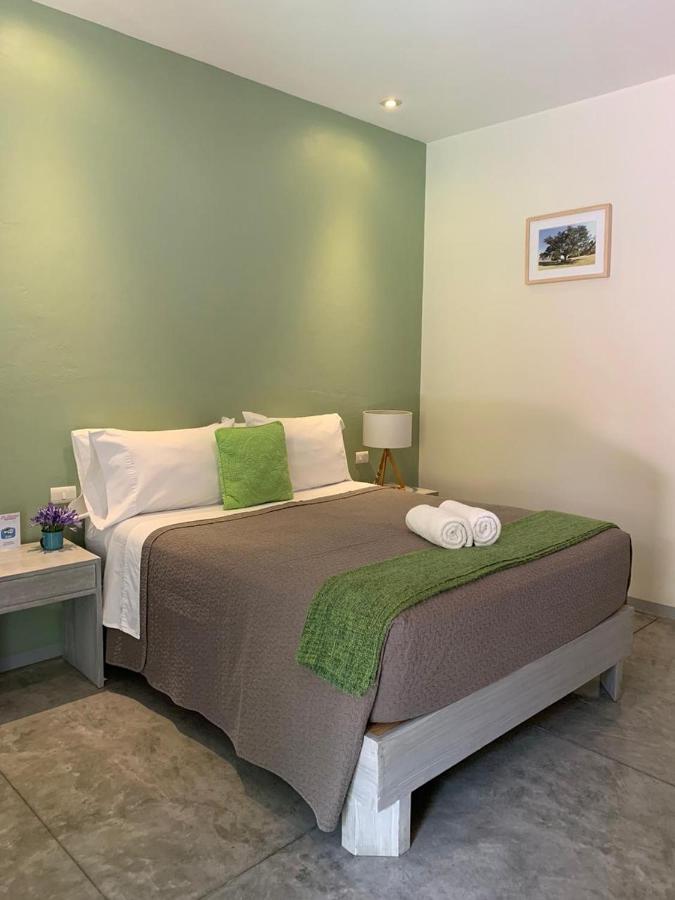 Oaxaca La Betulia Bed And Breakfast מראה חיצוני תמונה
