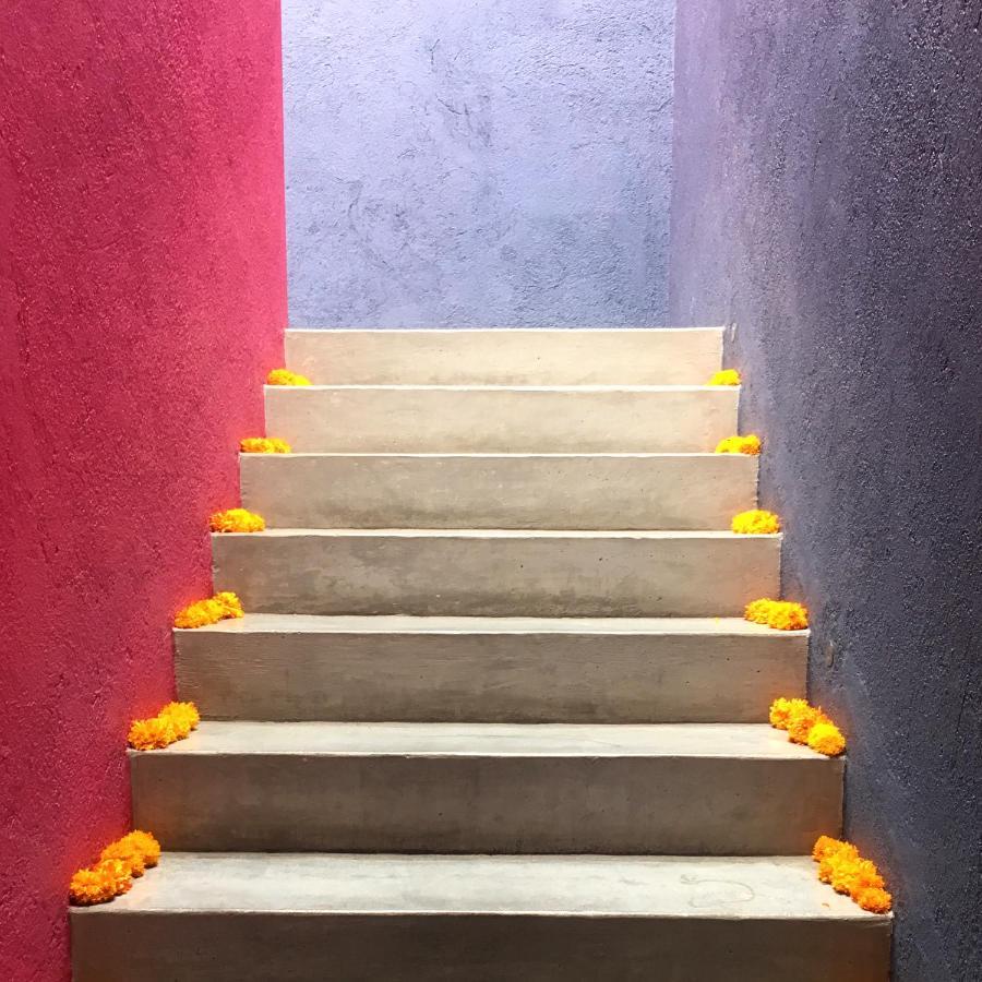 Oaxaca La Betulia Bed And Breakfast מראה חיצוני תמונה