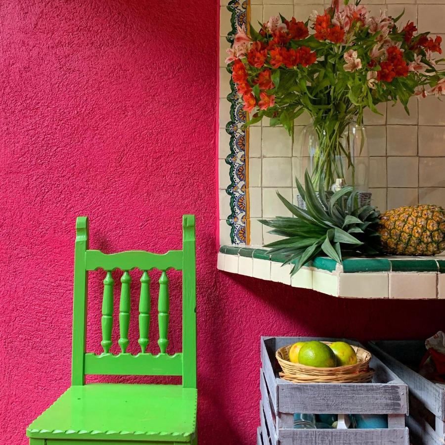 Oaxaca La Betulia Bed And Breakfast מראה חיצוני תמונה