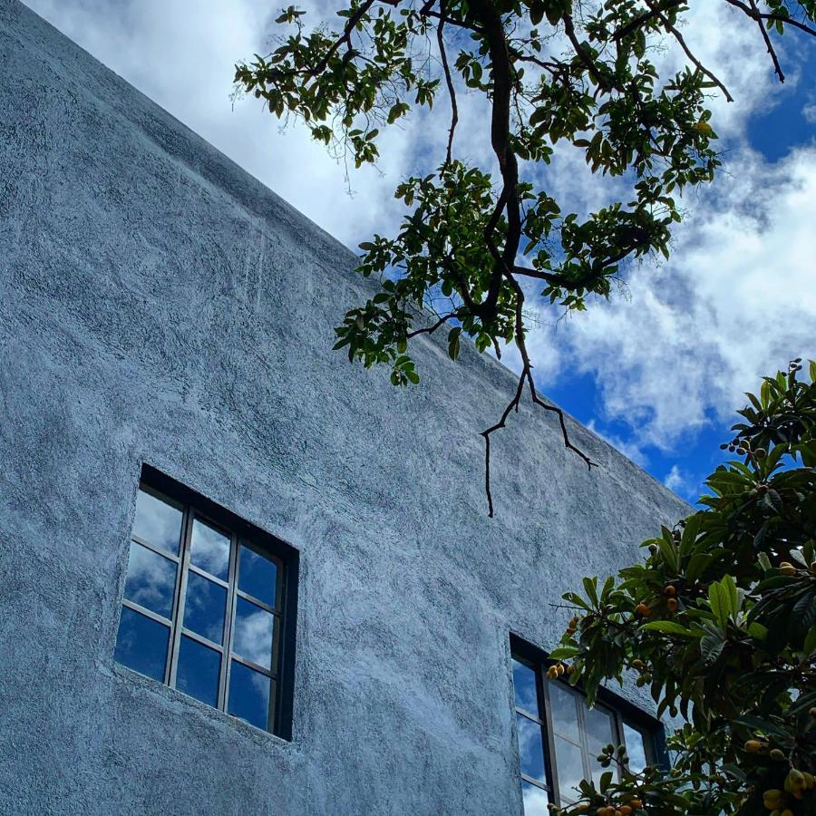 Oaxaca La Betulia Bed And Breakfast מראה חיצוני תמונה