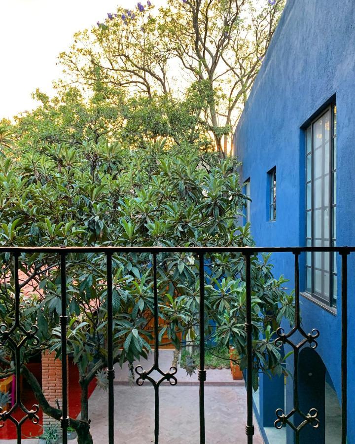 Oaxaca La Betulia Bed And Breakfast מראה חיצוני תמונה