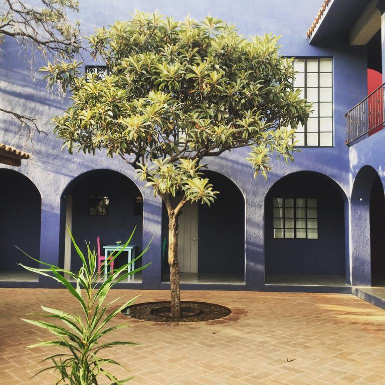 Oaxaca La Betulia Bed And Breakfast מראה חיצוני תמונה