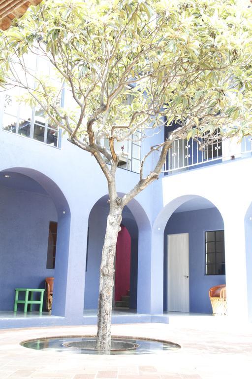 Oaxaca La Betulia Bed And Breakfast חדר תמונה