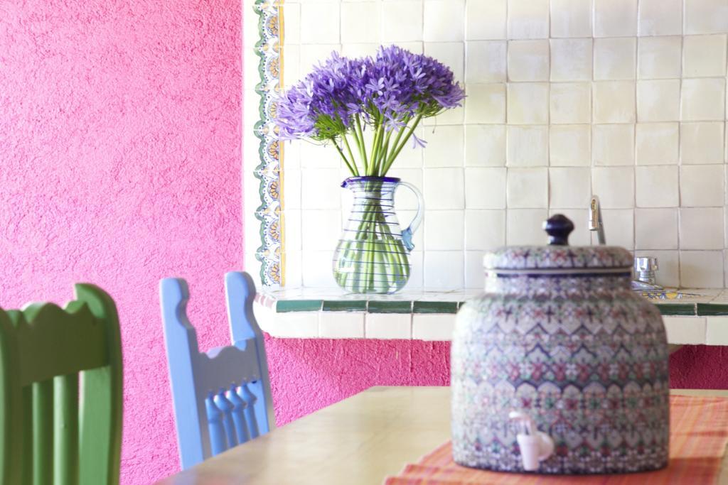 Oaxaca La Betulia Bed And Breakfast מראה חיצוני תמונה